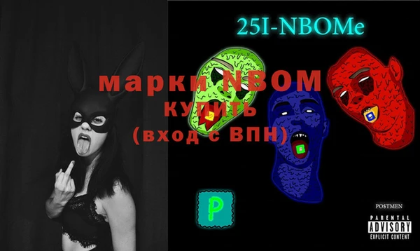 дурь Бородино
