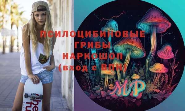 дурь Бородино