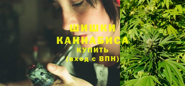 дурь Бородино