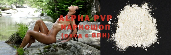 дурь Бородино