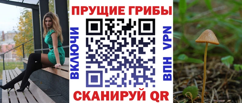 Галлюциногенные грибы мицелий Выкса