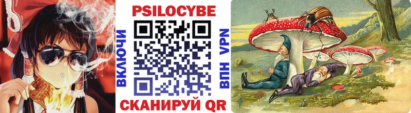 Галлюциногенные грибы Psilocybe  Выкса 